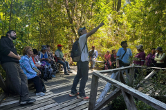 WhatsApp-Image-2025-03-31-at-16.11.18