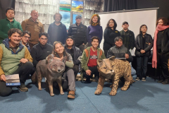 WhatsApp-Image-2025-10-29-at-17.35.19