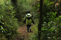 Caminando-por-el-sendero-7