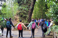 Danielacuevas_1_ParqueTantauco