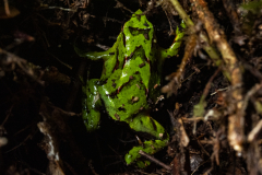 Parque-Tantauco-Narrativa-de-un-Santuario-Natural-Antiguas_51