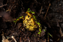 Parque-Tantauco-Narrativa-de-un-Santuario-Natural-Antiguas_53